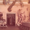 653. Feste 1964 R. Pleban